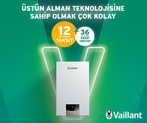 Vaillant